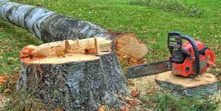 Somerset, WI Tree Services Company