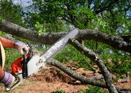 Lawn Maintenance Plans in Somerset, WI