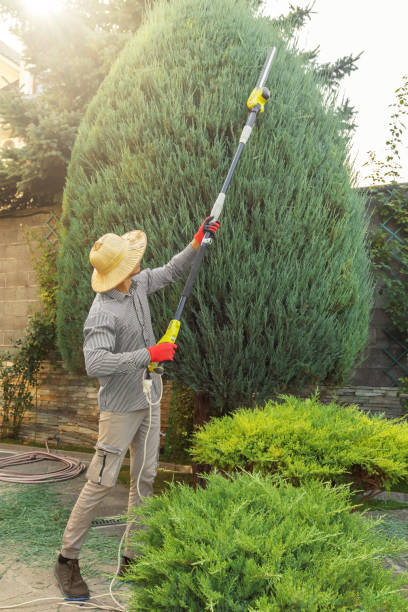 Landscape Design and Installation in Somerset, WI
